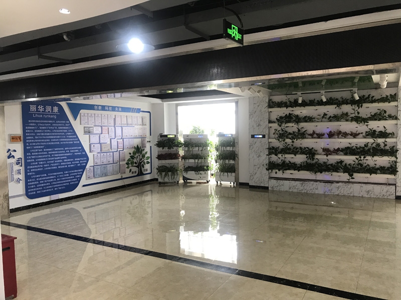 无土水培绿植展厅